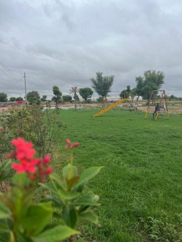 Land/Plot