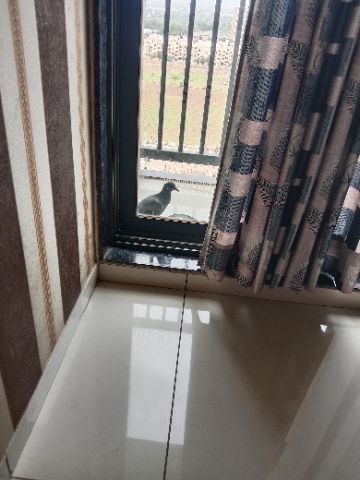 Flat/Apartment for Sale at Rajkot, Rajkot
