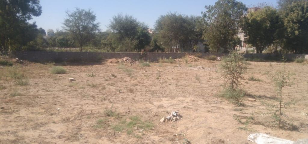 Land/Plot