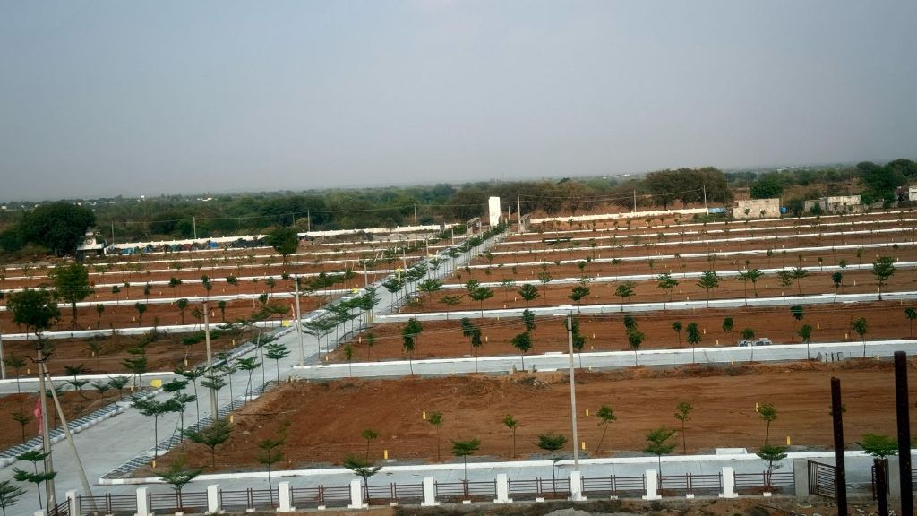 Land/Plot
