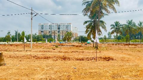 Land/Plot