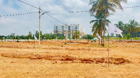 Land/Plot