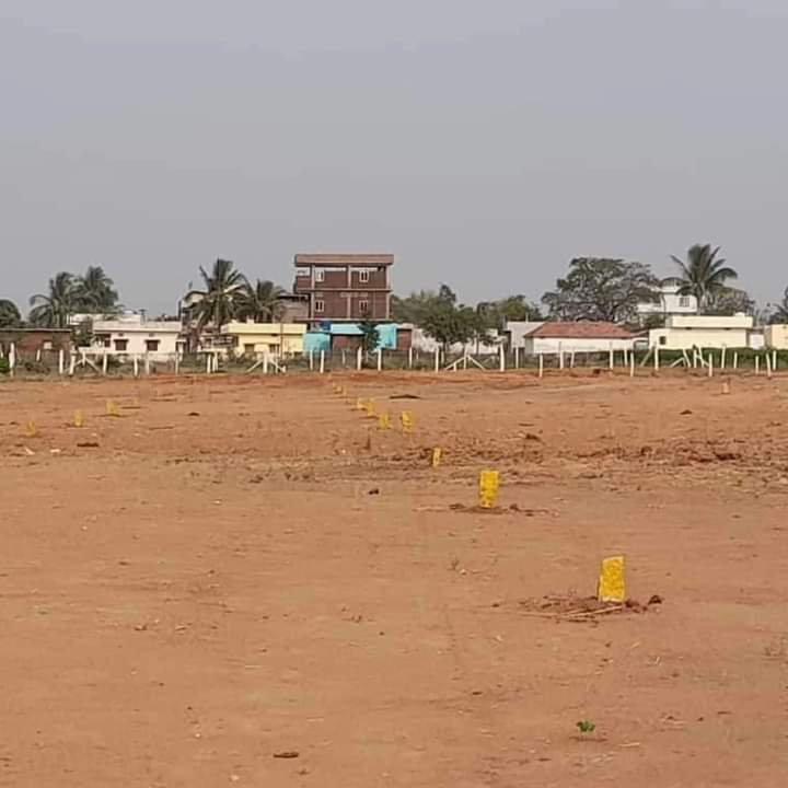 Land/Plot