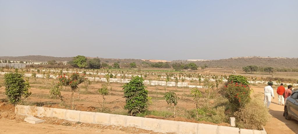 Land/Plot