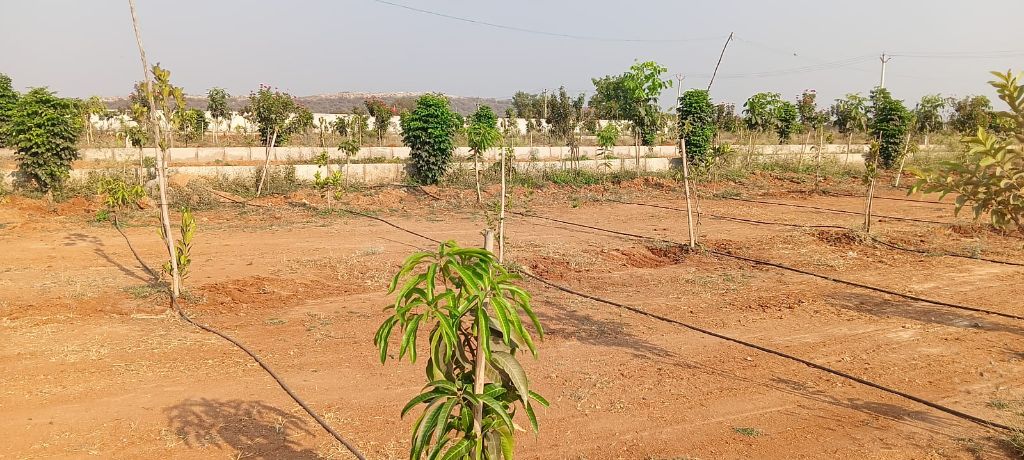 Land/Plot