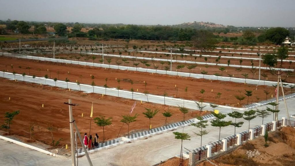 Land/Plot