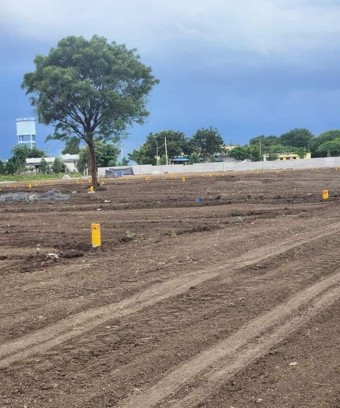 Land/Plot