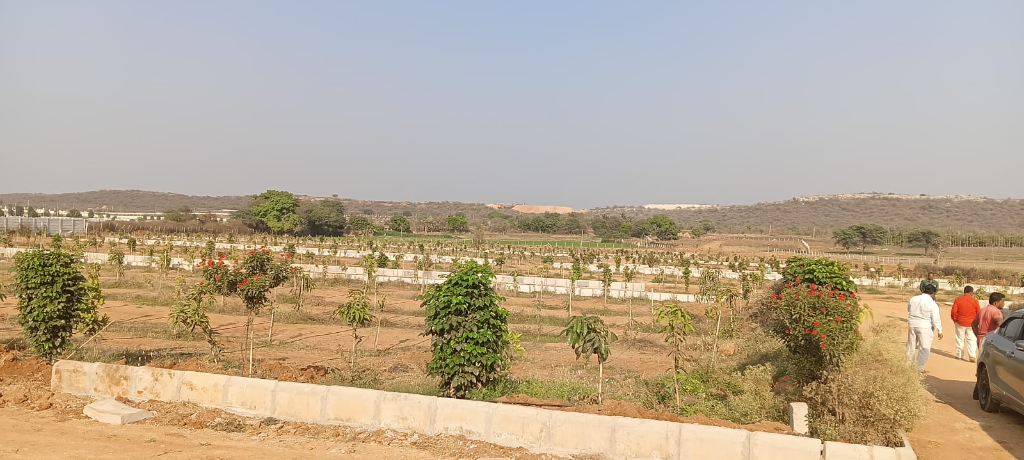 Land/Plot