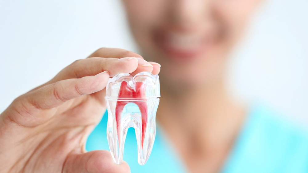 Maestría en Endodoncia y Microcirugía Apical