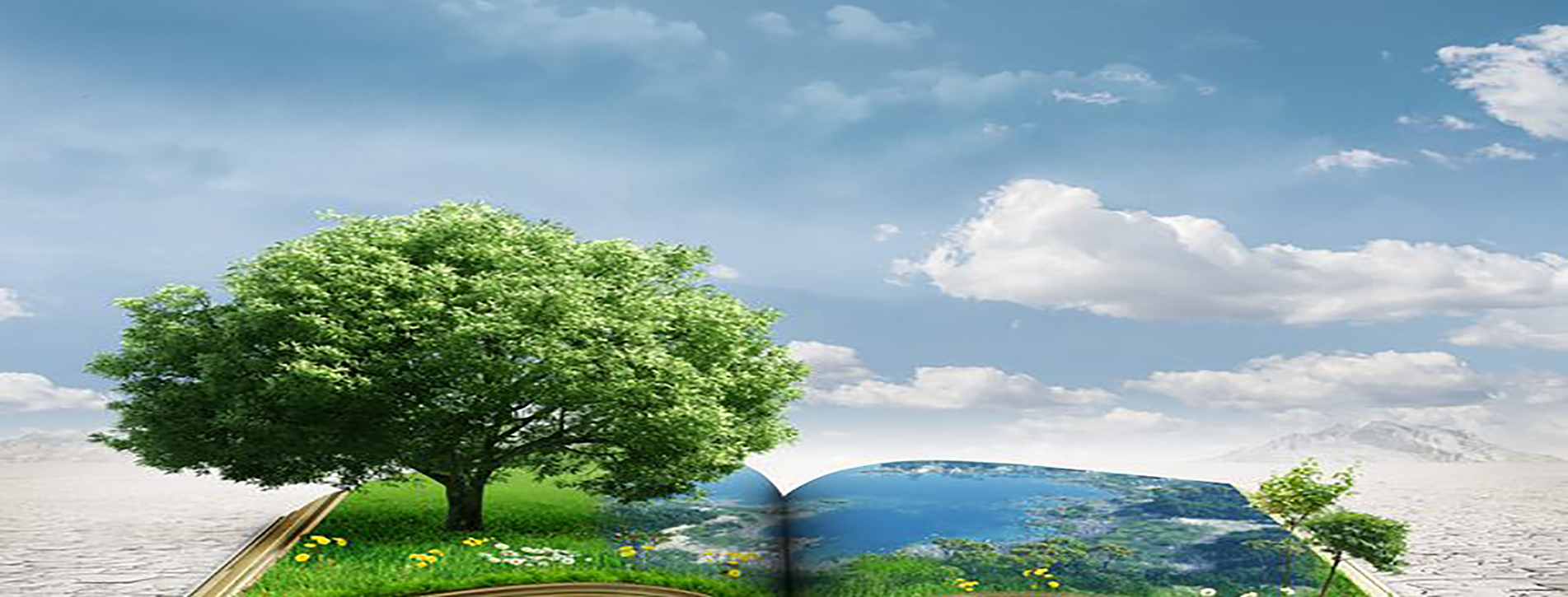 Especialidad en Educación Ambiental