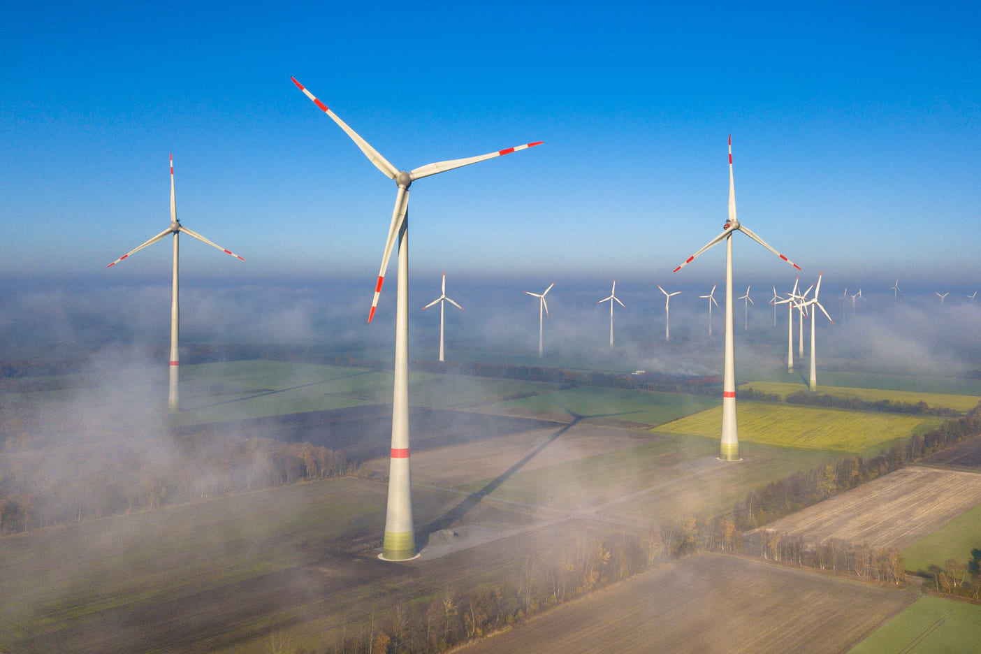 Maestría en Ciencias en Ecología y Medio Ambiente