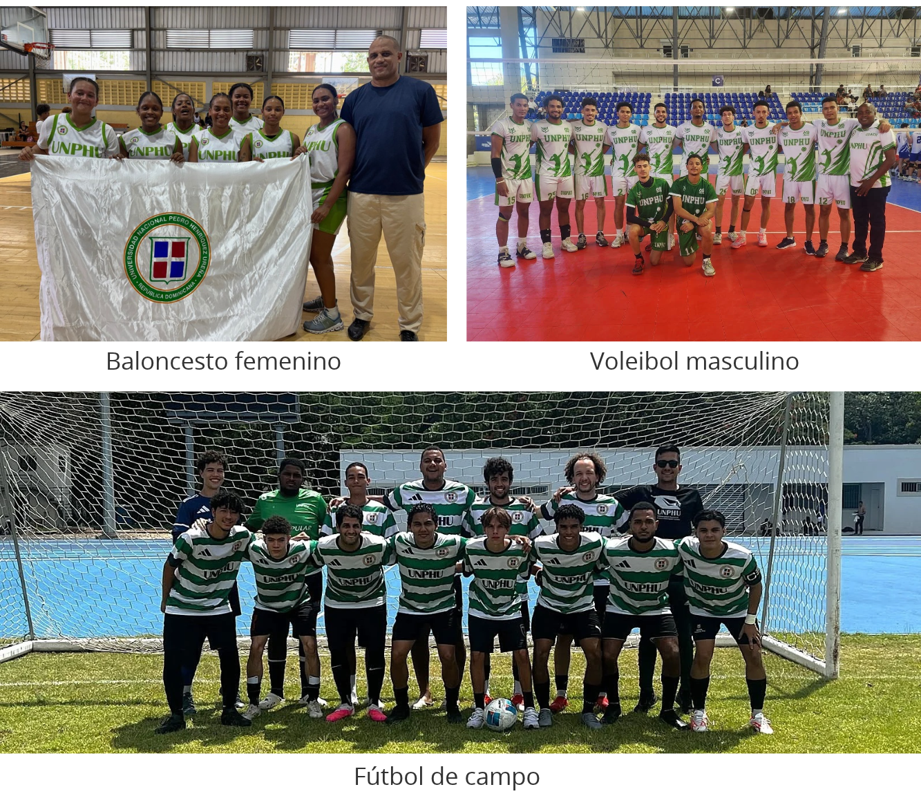 Baloncesto, voleibol y fútbol de campo.png Baloncesto, voleibol y fútbol de campo.png