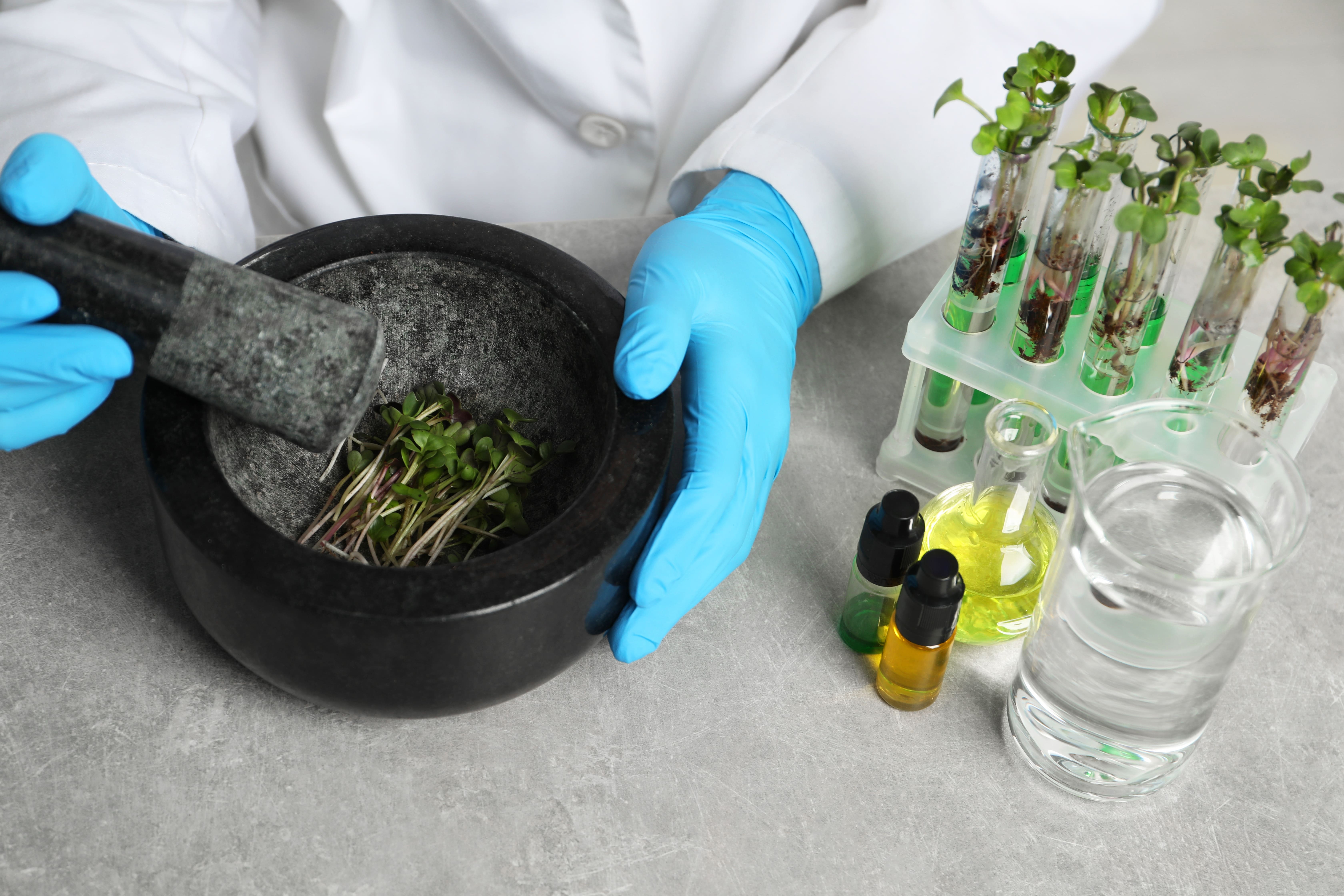 Desarrollo de un mortero de Cal para enlucidos con características fungicidas y biocidas (MORCAL)