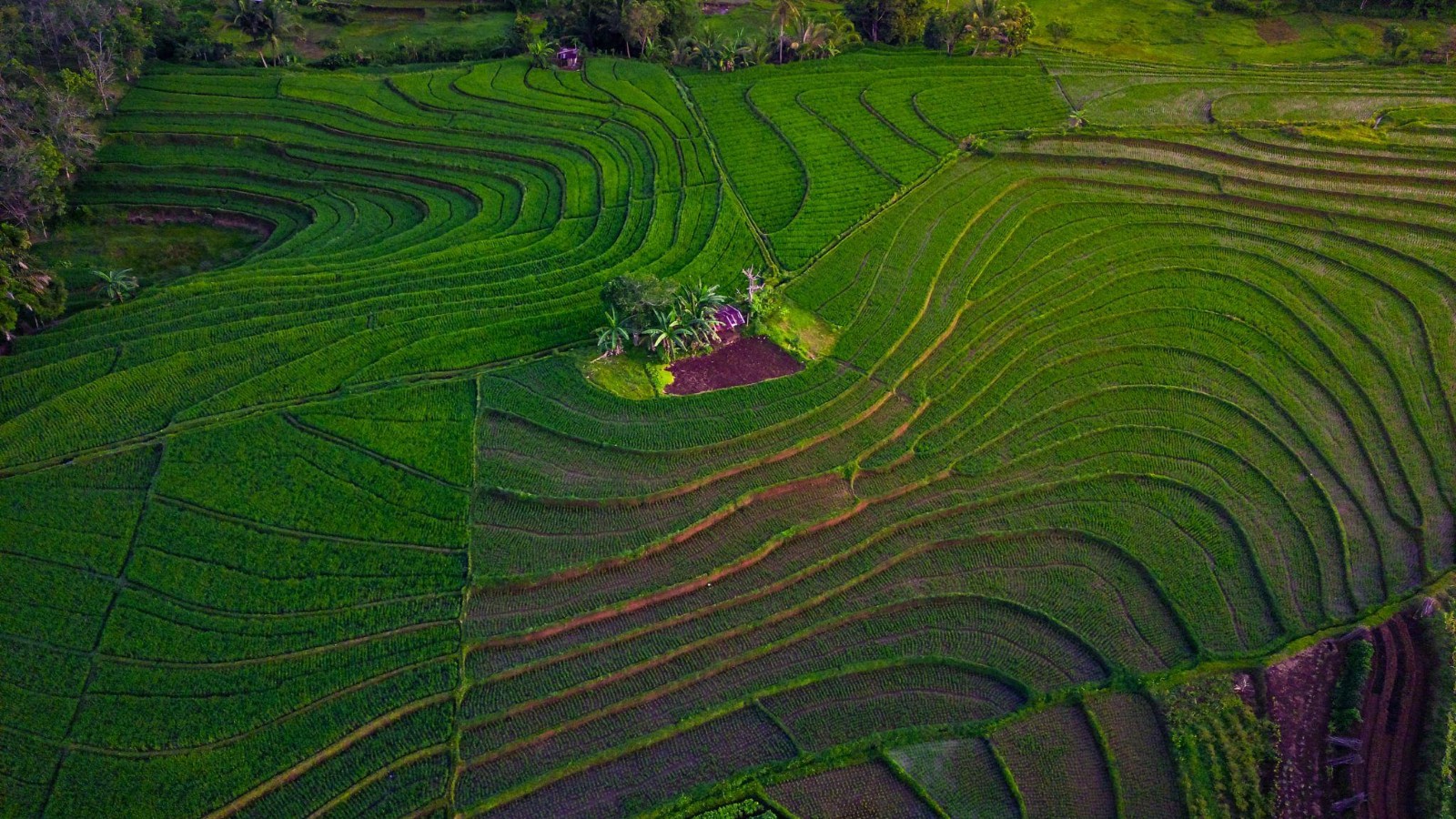 Foto mitra 1