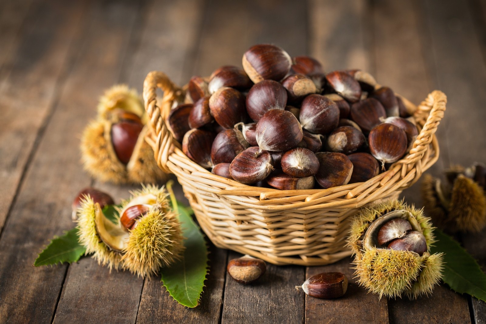 Castagne, quando si raccolgono e come sceglierle