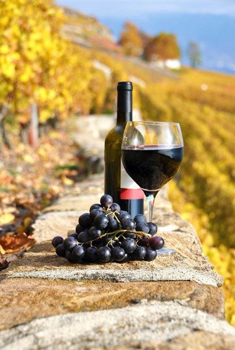 Valpolicella Ripasso DOC - Cantina Ferruccio Carlotto