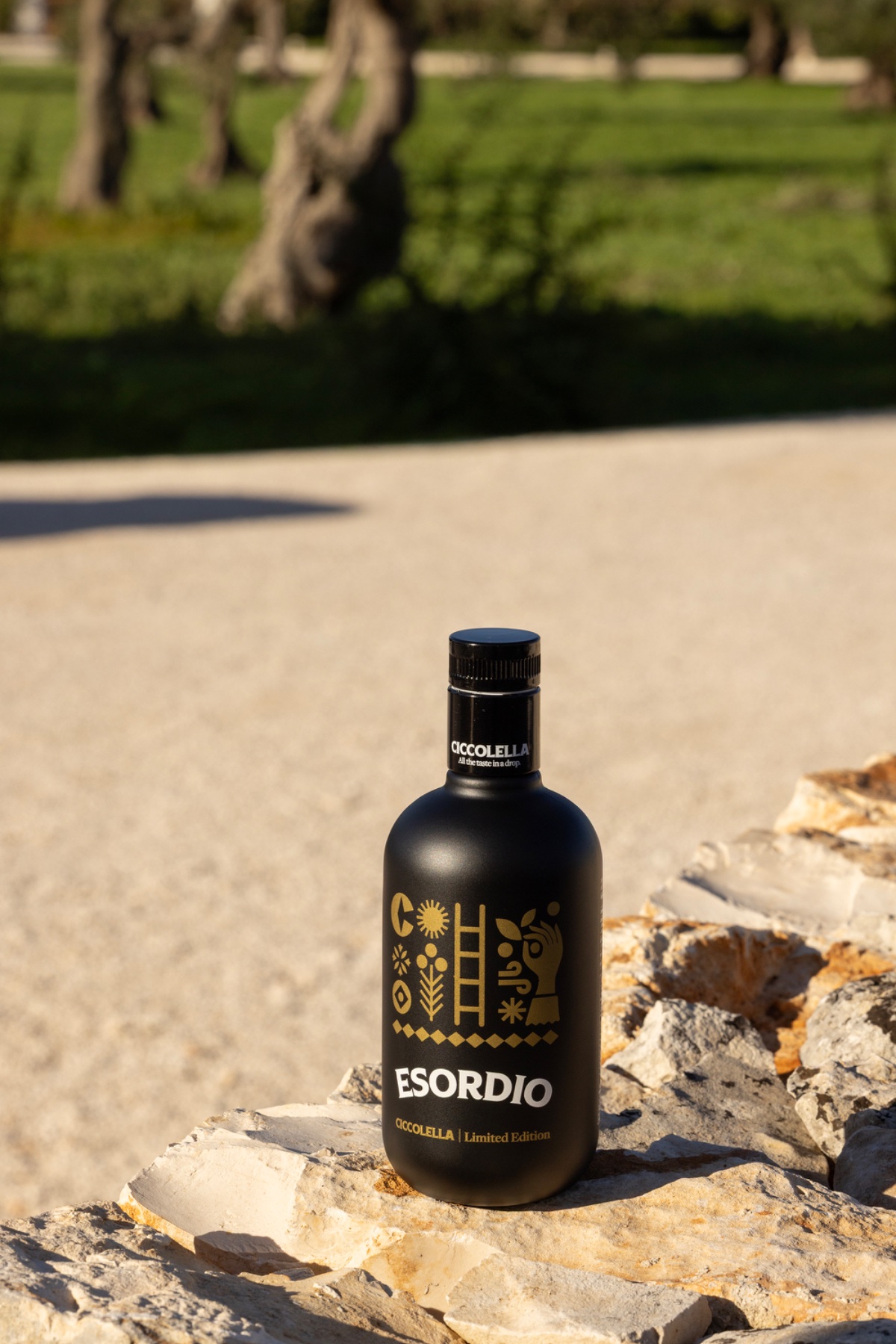 Esordio Edizione Limitata