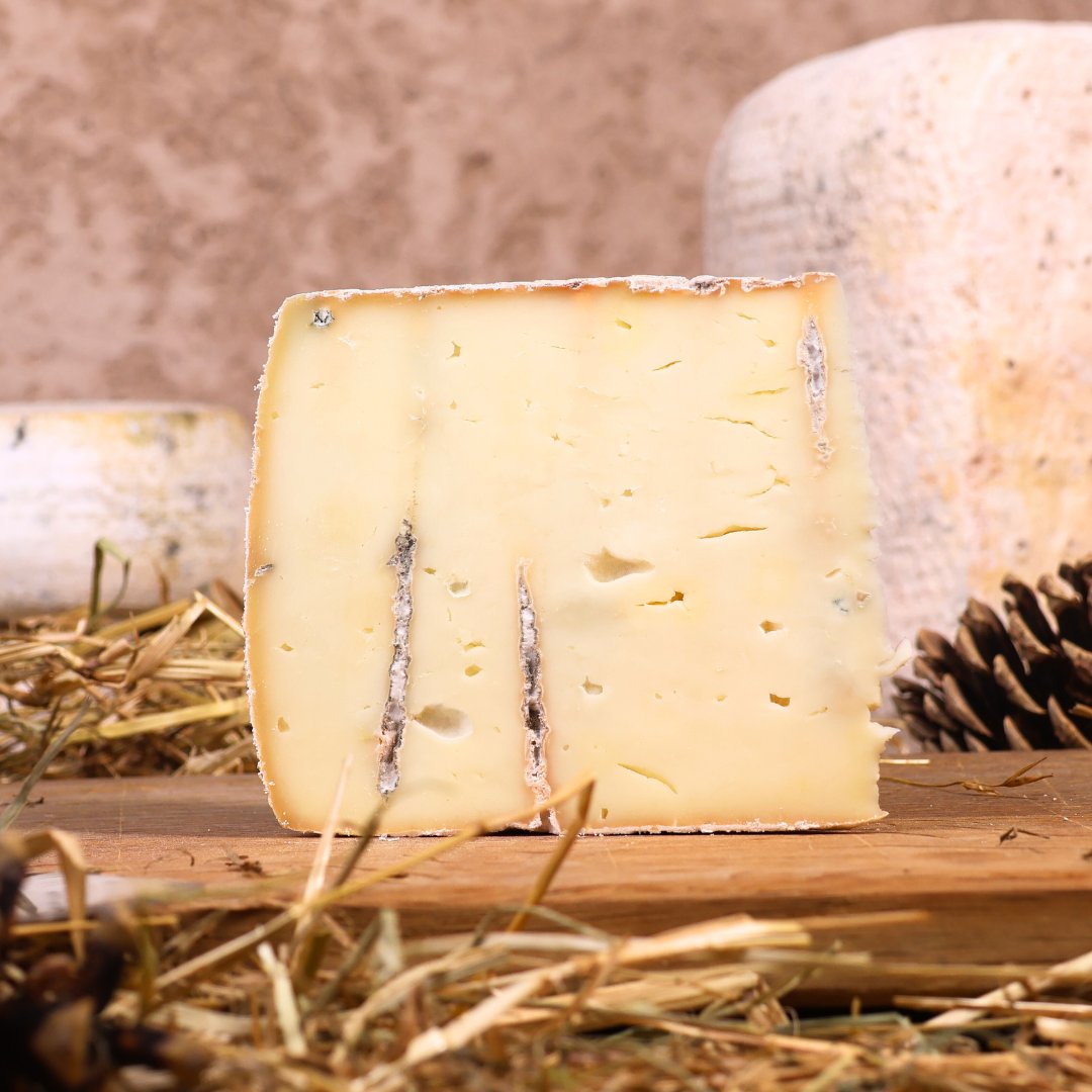 Bon Bleu d'Ayas