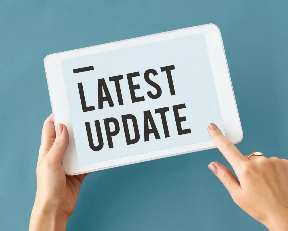 Google Update November 2024