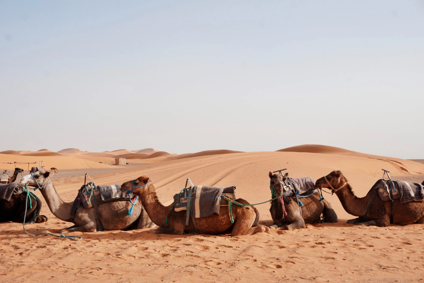 The Two Deserts: Choosing Between Agafay and Merzouga