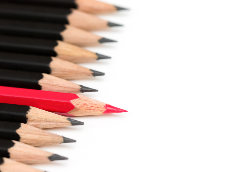 Marketing reports, Financial reports, Assignments, and Thesis.