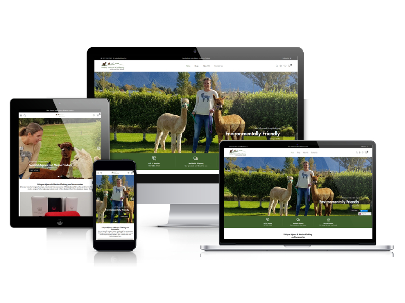 Google Partner for Ads