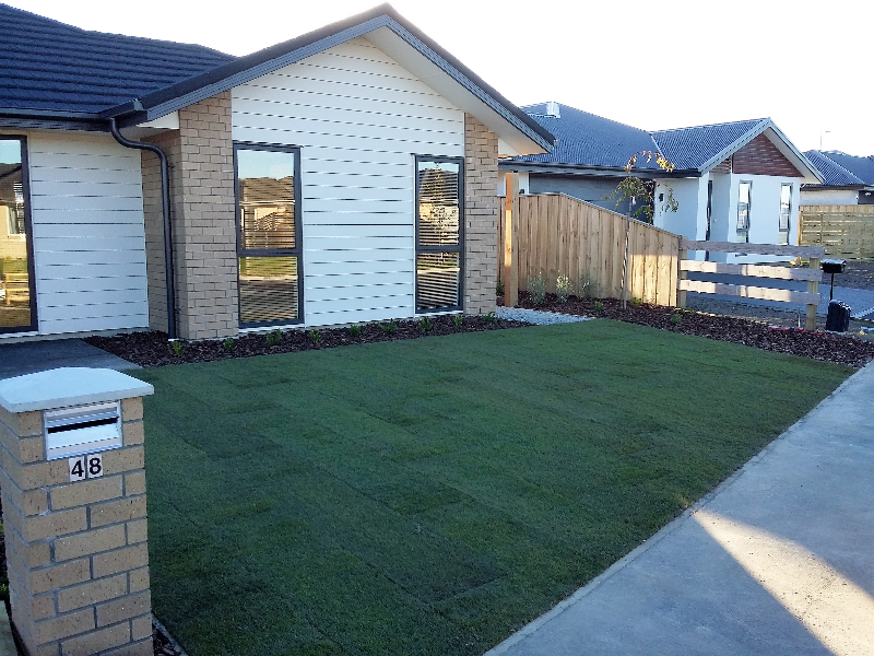 Landscaped Lawn