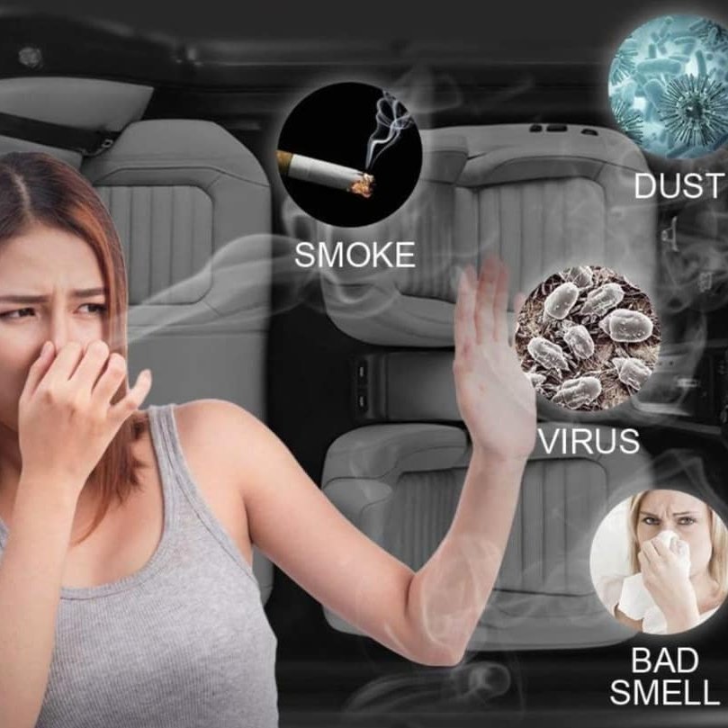 Ozone Treatment (Odor Removal)