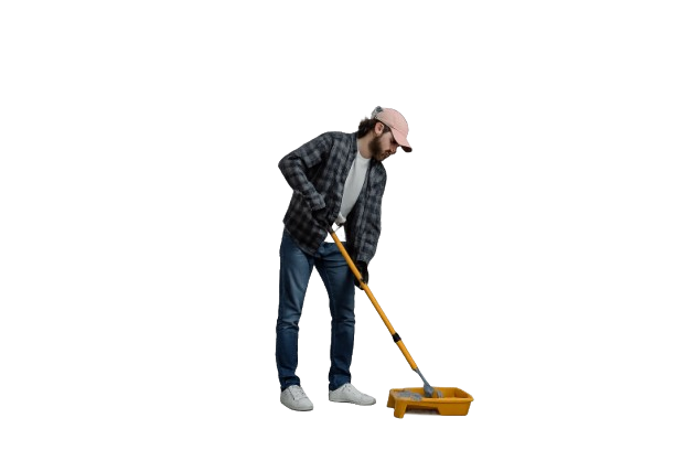 Professional cleaner