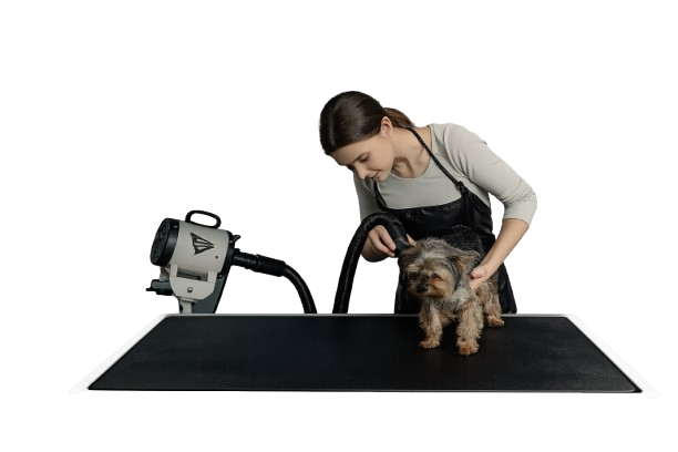 Professional pet groomer
