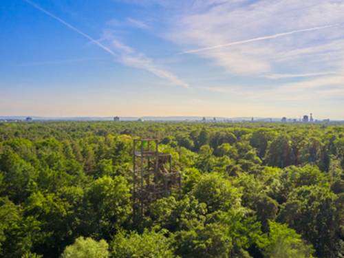 Blick auf die Natur aus luftiger Höhe