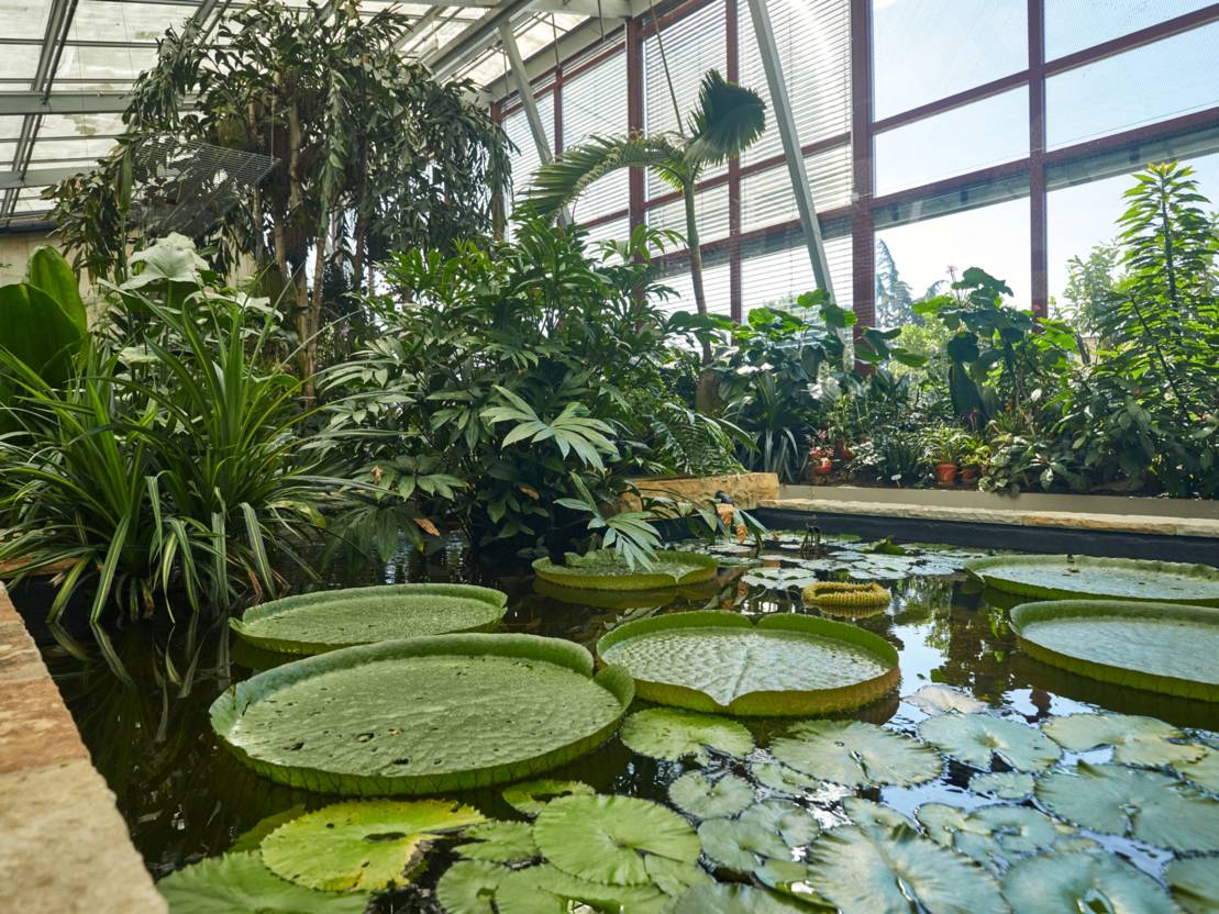 Tropisches Paradies