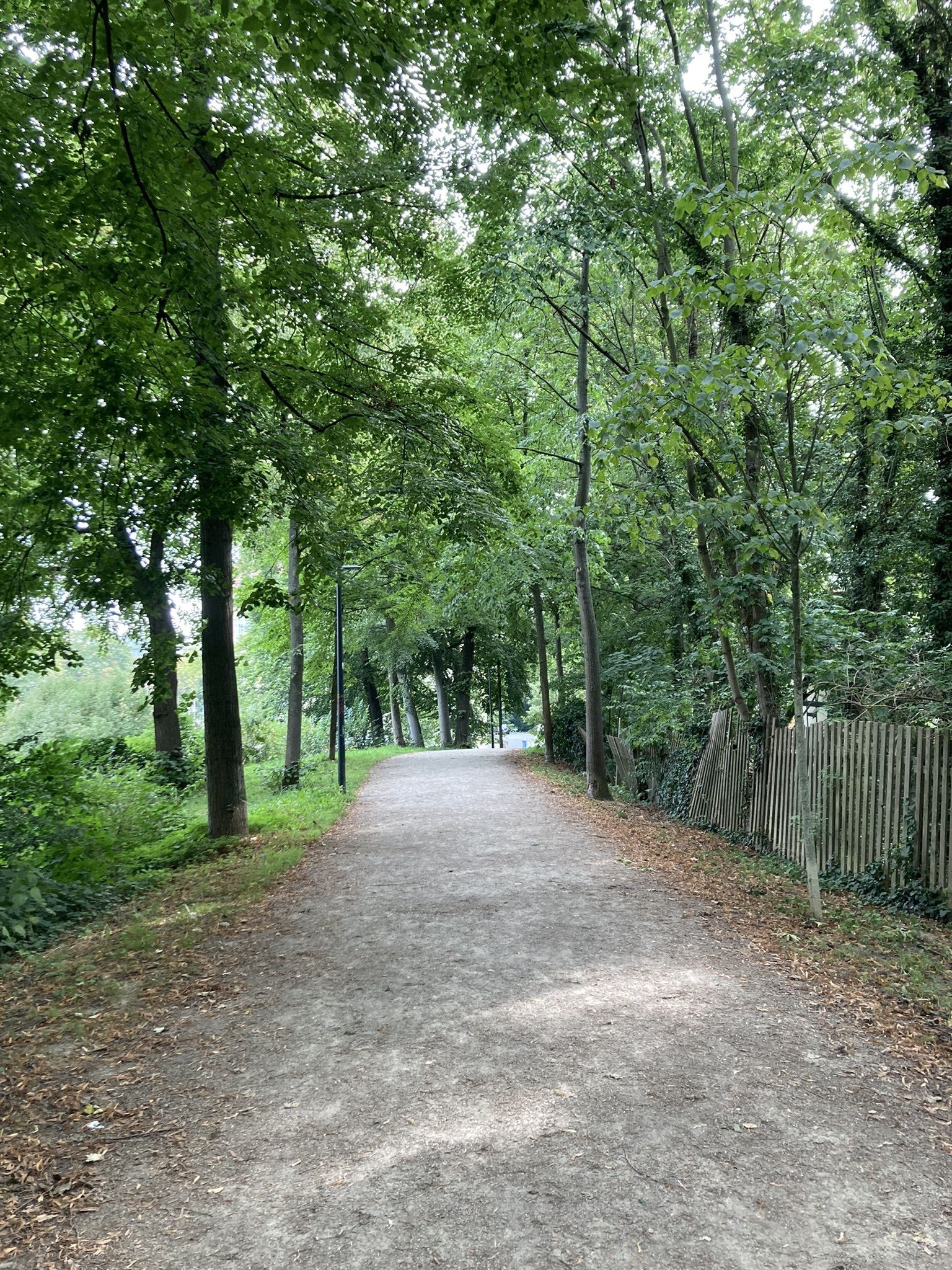Einmal rund um die Stadt