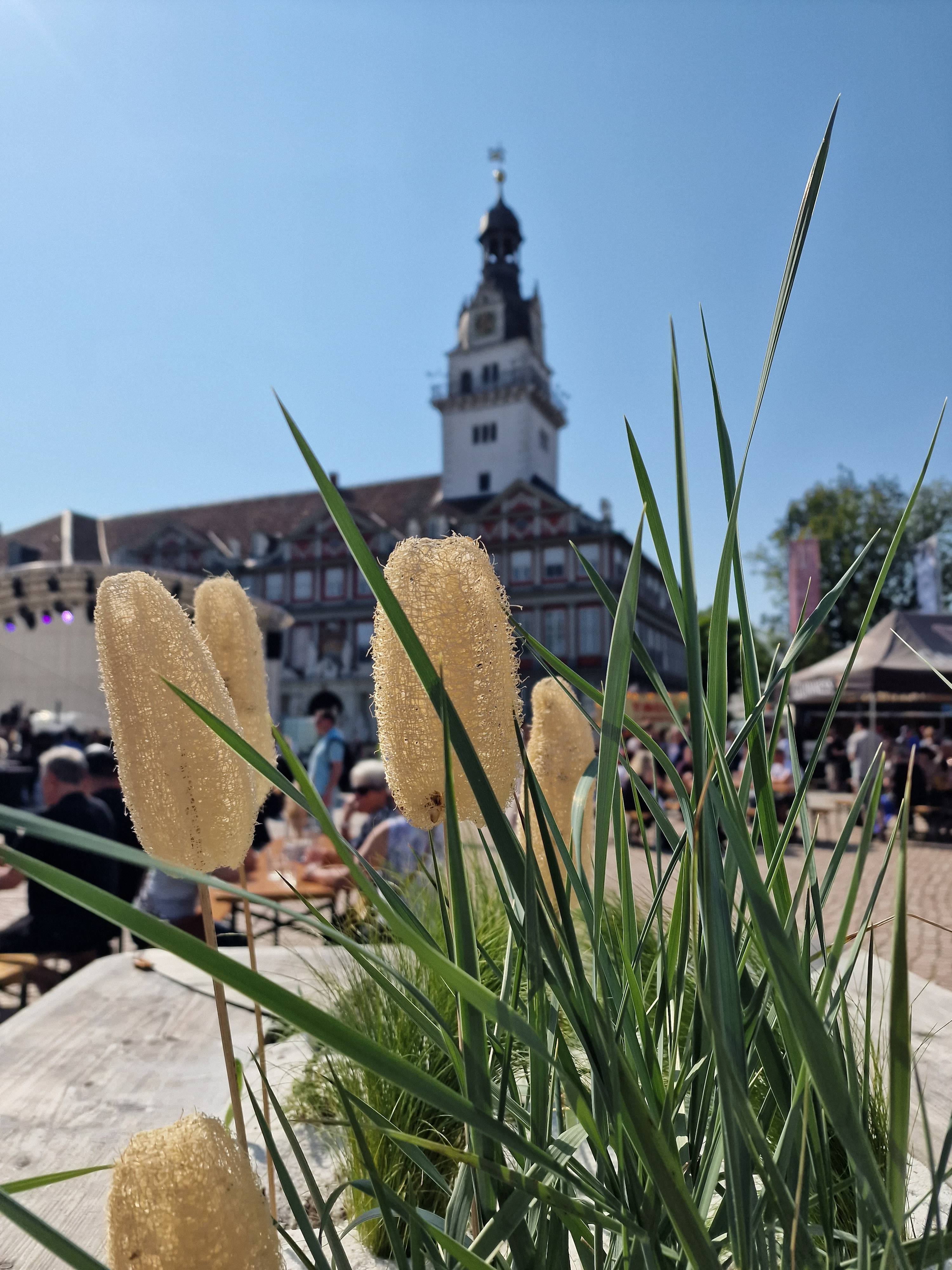 Wohlfühlen auf dem Schlossplatz