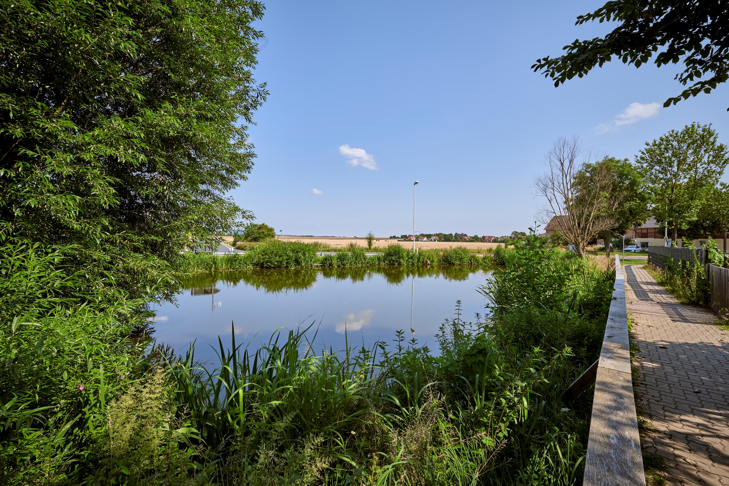 Idyllisches Plätzchen für ein entspanntes Picknick