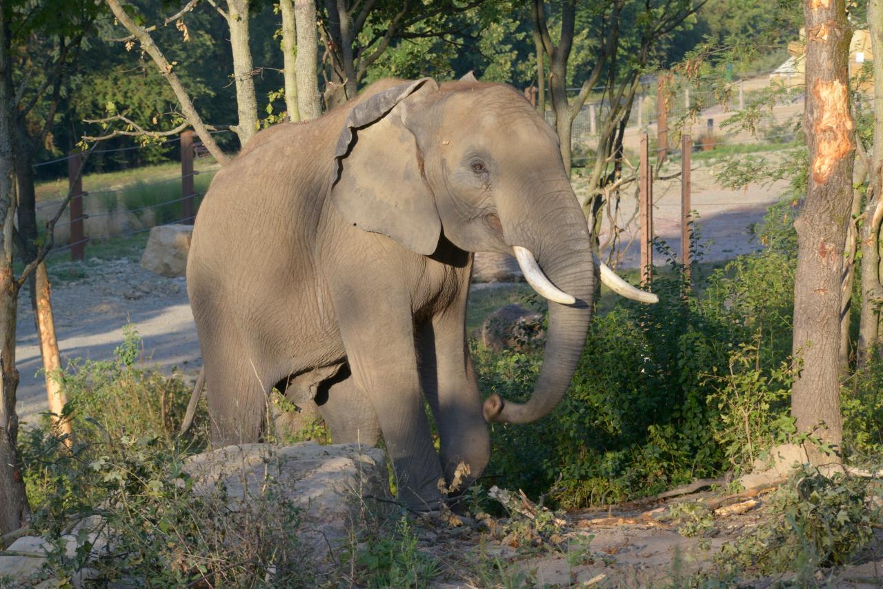 Tierwunderland entdecken!