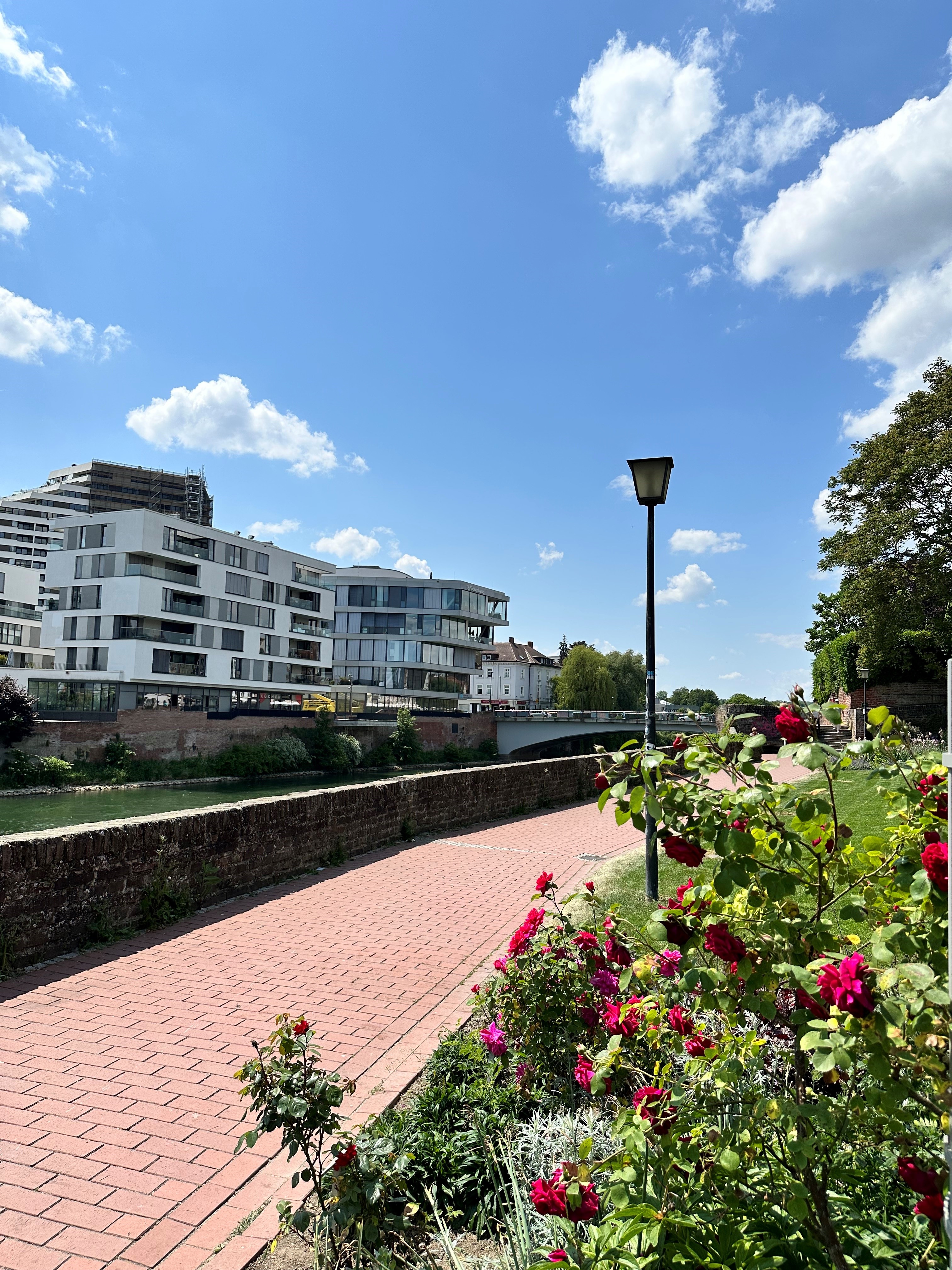 Blühende Oase an der Donauuferpromenade