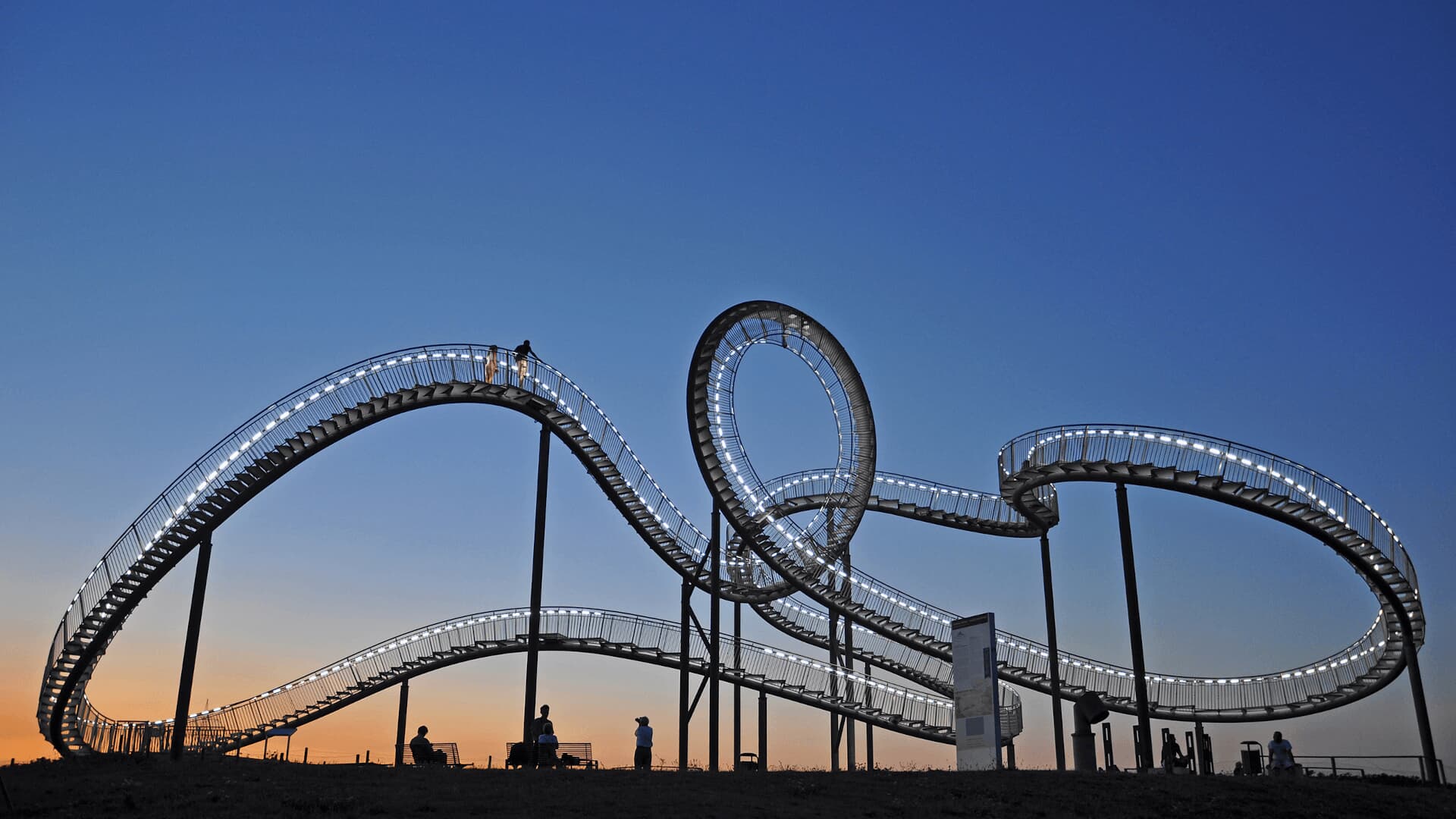 Tiger & Turtle