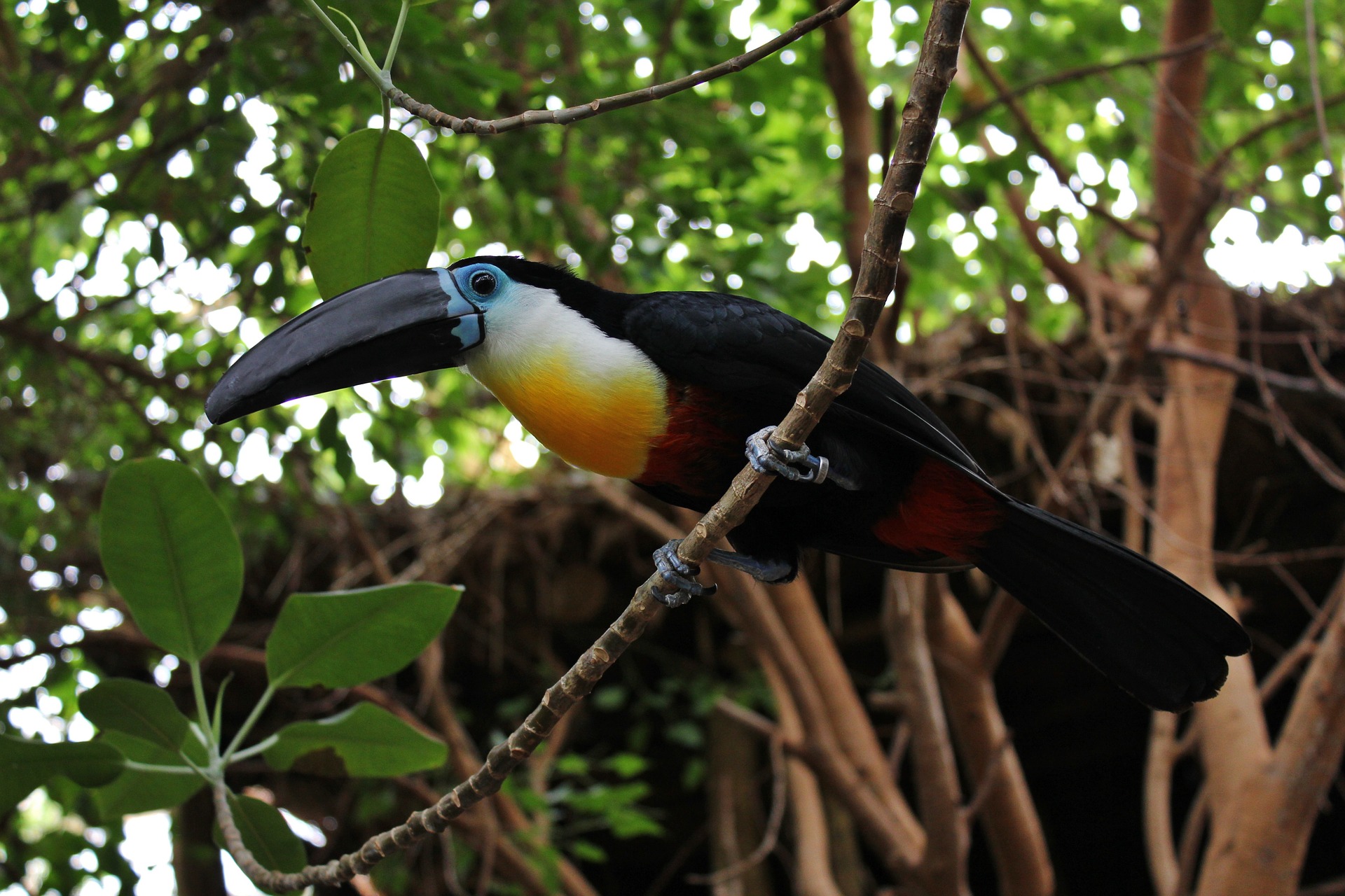 Tierabenteuer pur