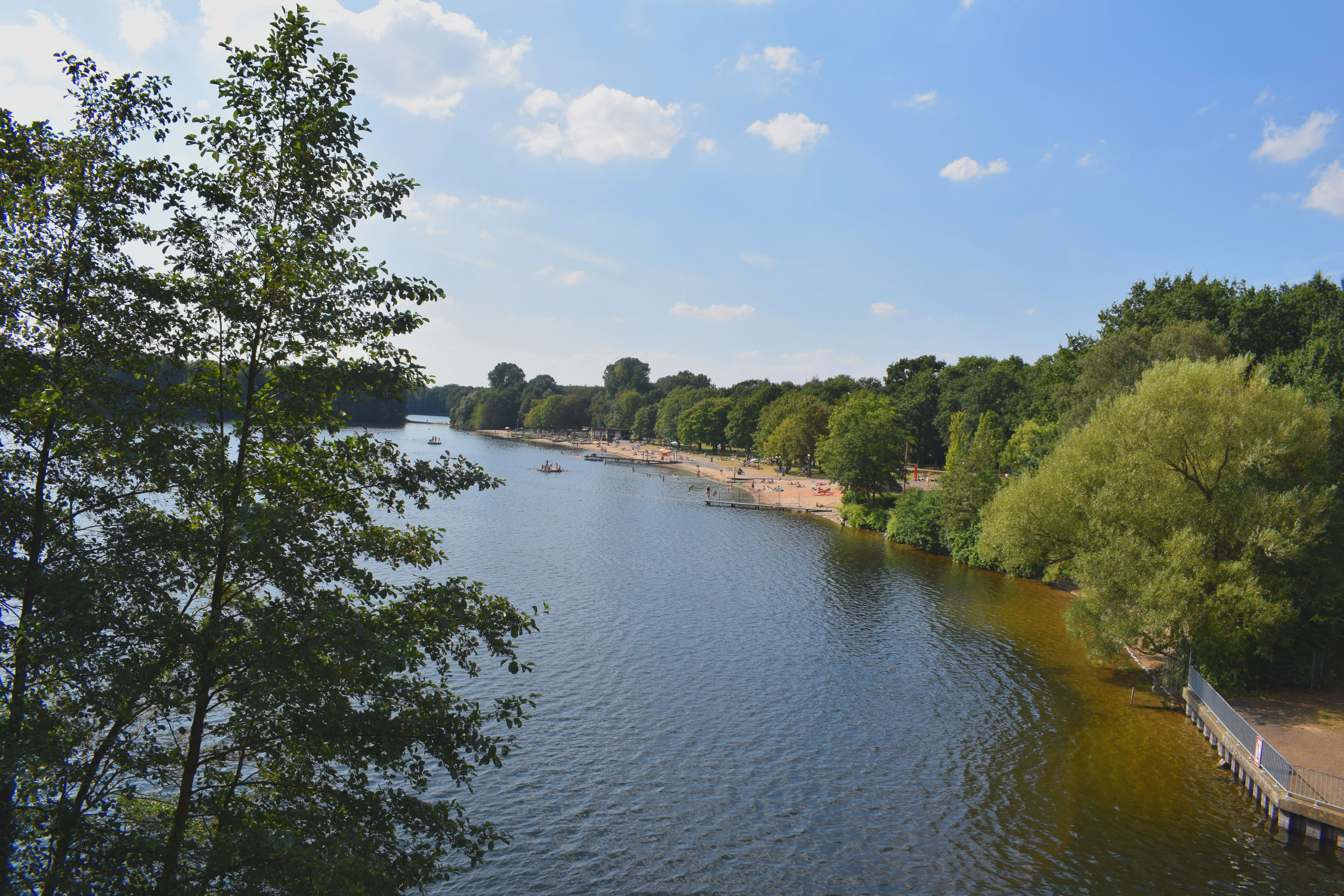 Naturschönheit im Ruhrgebiet