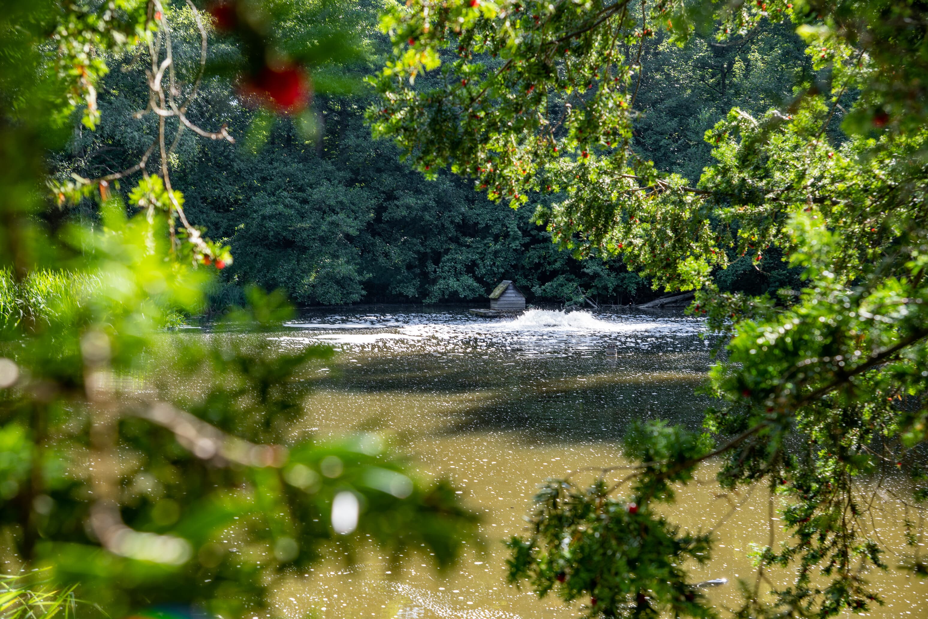 Natur, Sport und Erholung
