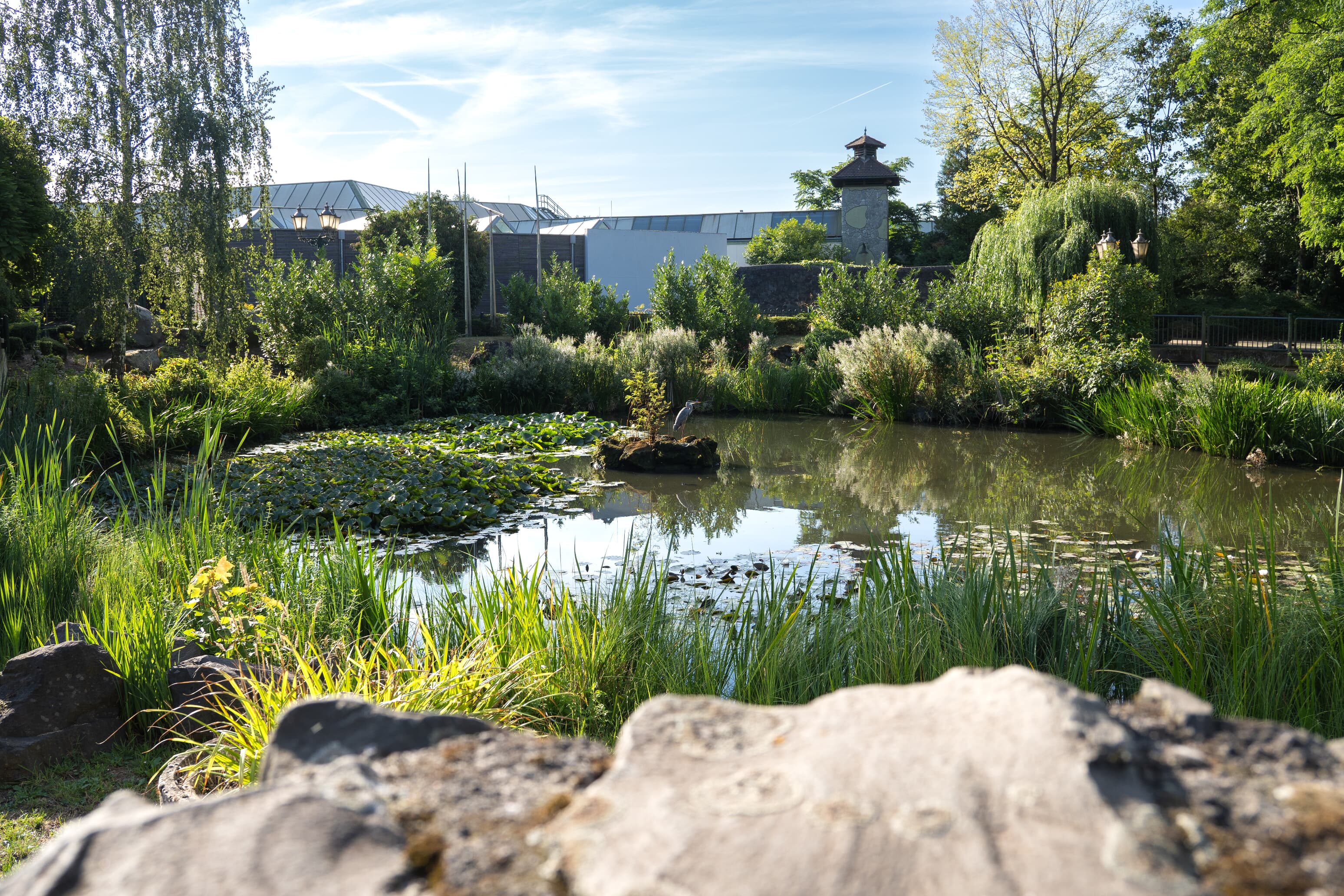 Naturerlebnis und Erholung pur
