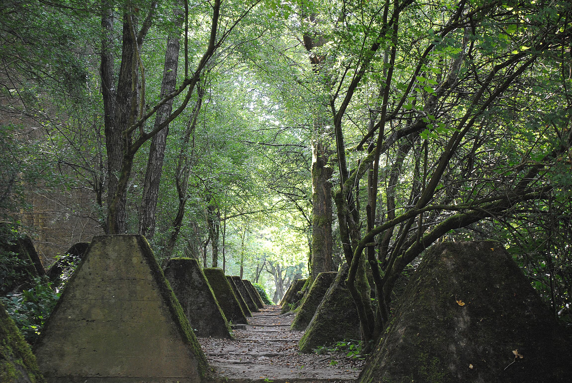 Höckerlinie-Westwall