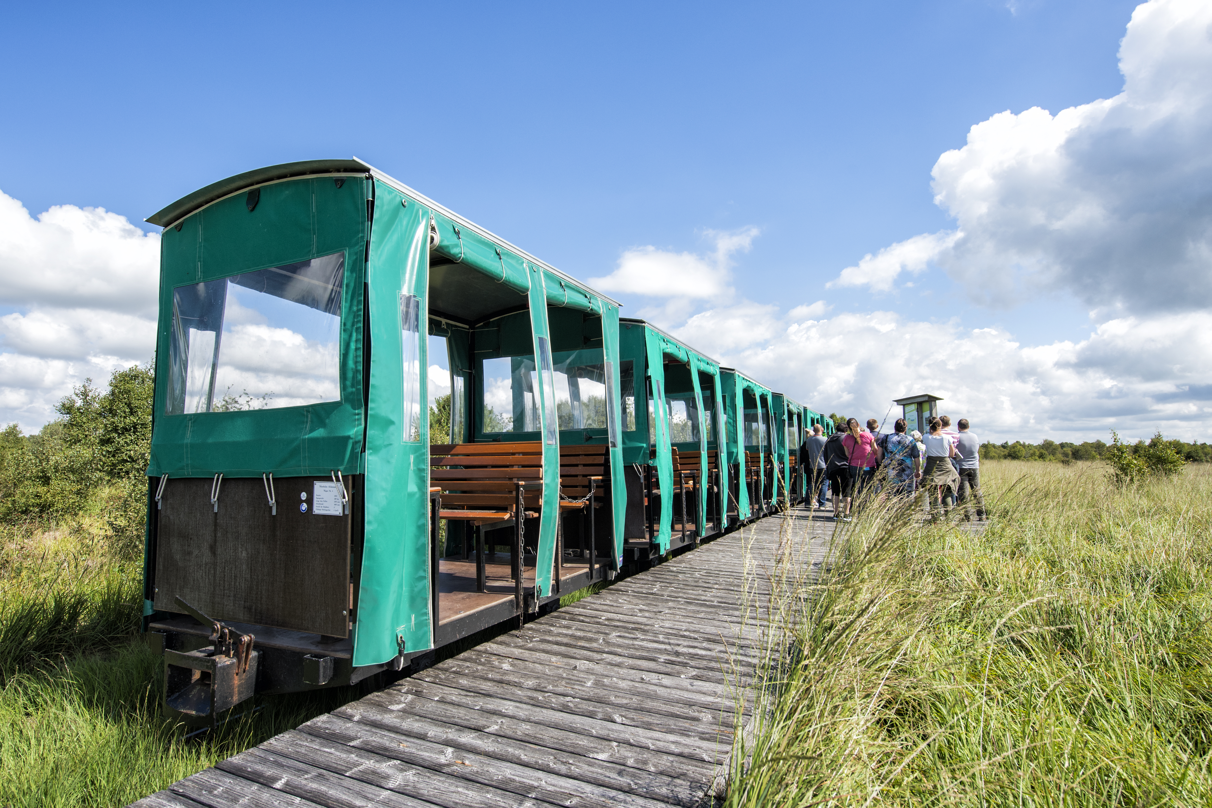 Entdeckertour ins mystische Moor
