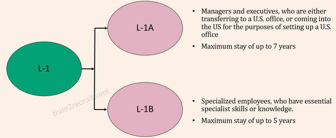 L1 Visa types