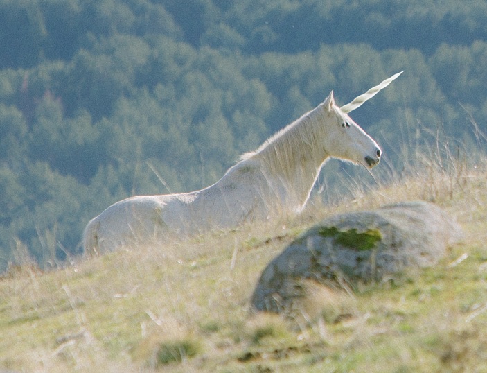 California Girl Is Licensed To Own A Unicorn If She Locates One