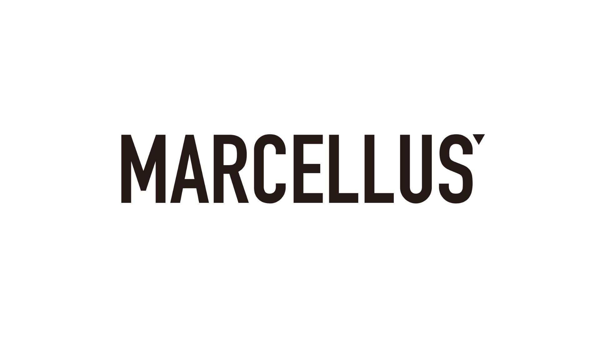 Introducing MARCELLVS, Affordable and Exquisite Jewelry from Los Angeles