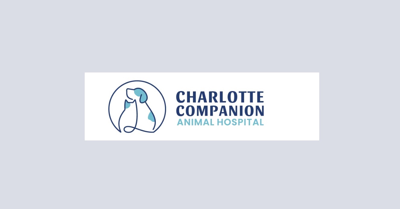 Dr. Koballa & Charlotte Companion Hospital: Exceptional Pet Care, Saving the Day!