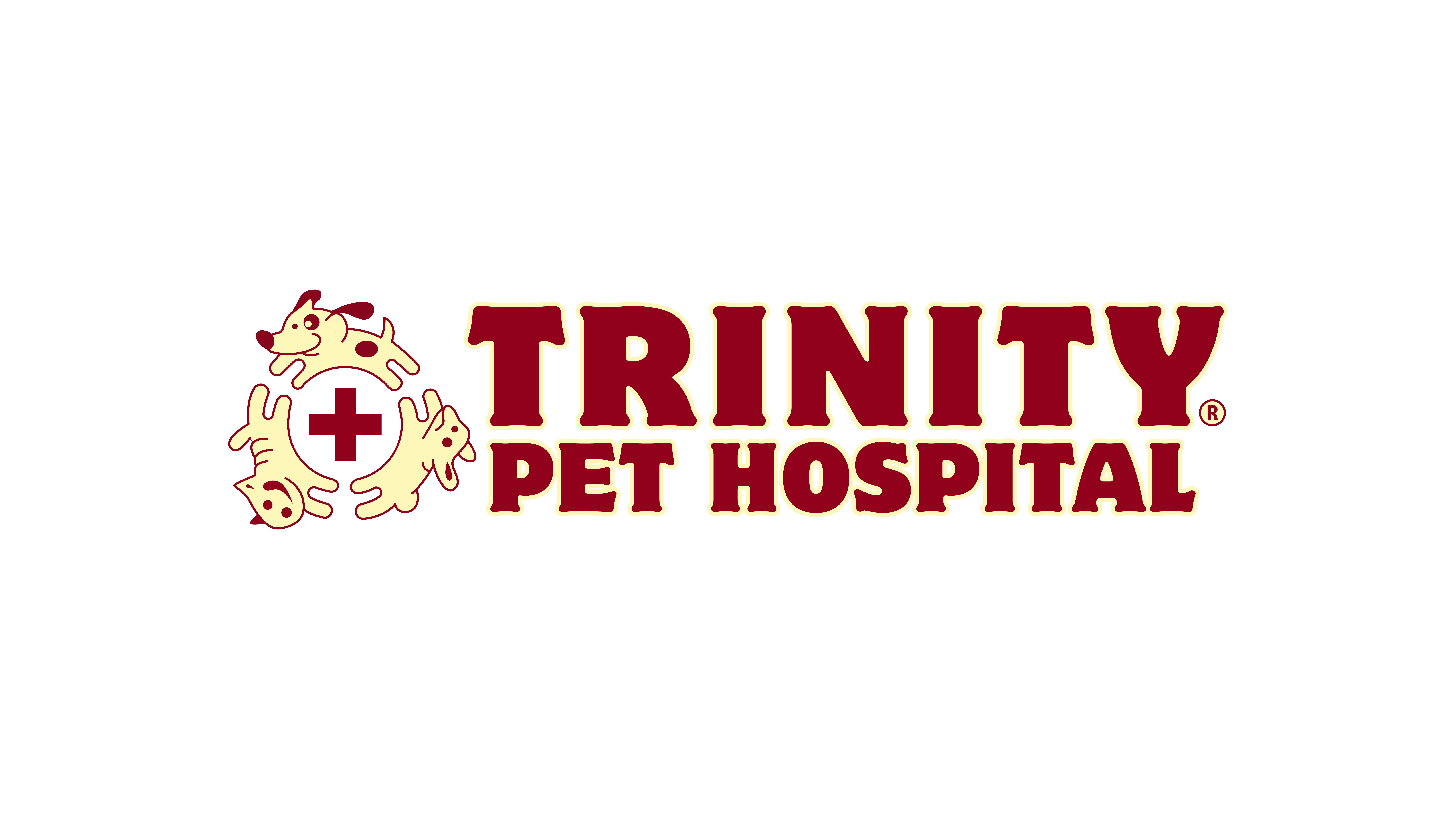 Trinity Pet Hospital Offers Expert Advice on Navigating Pet Allergies in Trinity, FL