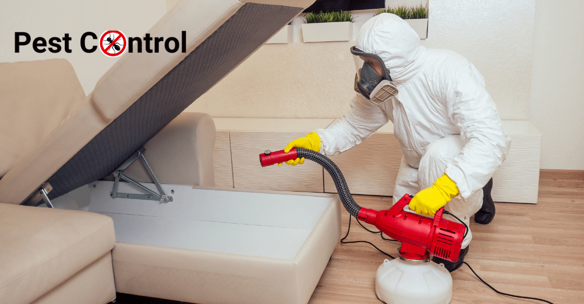 PestControlServices.us: Your Trusted Partner in Pest Management